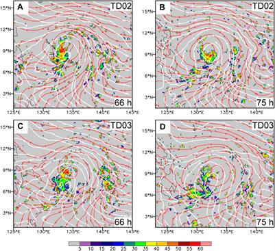 What affects the timing of tropical cyclone formation within a monsoon trough?